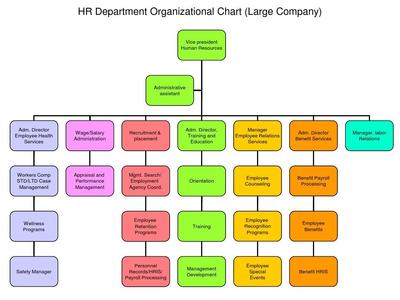 人力資源組織架構(gòu)與服務(wù)體系解析