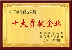 熱烈慶祝安徽皖信人力資源管理榮獲肥東縣經(jīng)濟(jì)發(fā)展大會雙項獎，樹立人力資源服務(wù)新標(biāo)桿